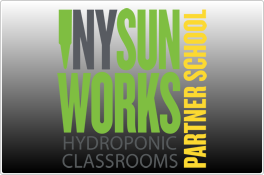 NY Sun Works Website